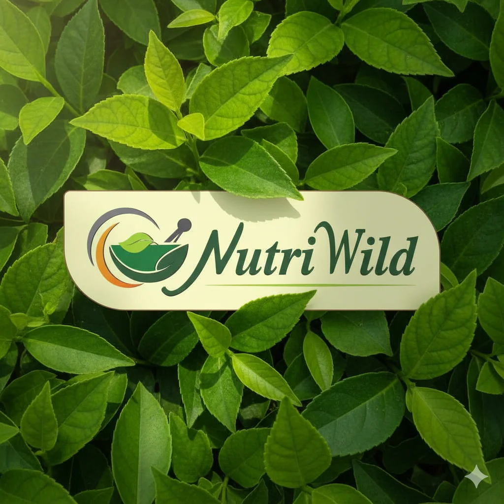 HINDWA WELLNESS